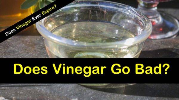 does red wine vinegar go bad does red wine vinegar go bad